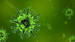 "நிபா வைரஸ் குறித்து பீதி அடைய வேண்டாம்" - இலங்கைக்கு உடனடி ஆபத்து இல்லை! சுகாதாரப் பிரதி அமைச்சர் ஹங்சக விஜேமுணி உறுதி.